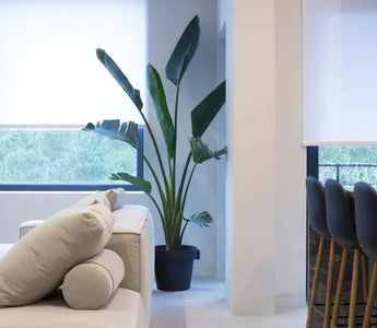 Modern living room with beige sofa, indoor plant, bar stools, and large windows with blinds