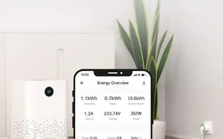 Smart home energy monitor app interface on phone, air purifier, and indoor plant in living room